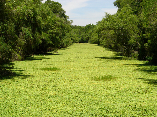 Chaco National Park